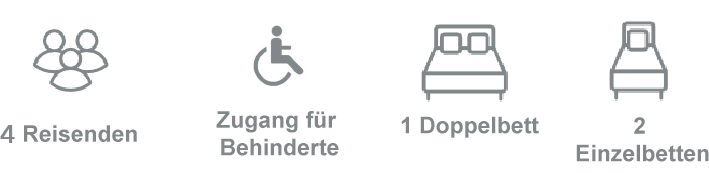gites arles icônes : 4 voyageurs / accès handicapé / 1 lit double / 2 lits simples